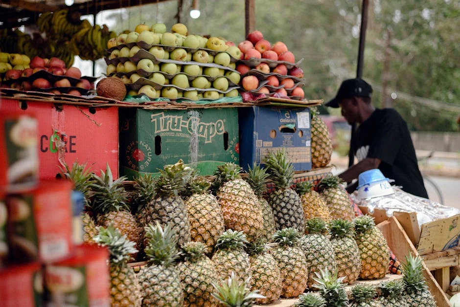 African Narratives Reshape Economic Sovereignty — Impacts on Global Markets — Economy Business