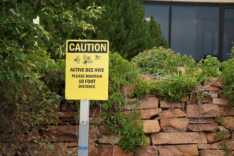 Albuquerque Warns Madeira Deputies May Lose Seats — Economy Business