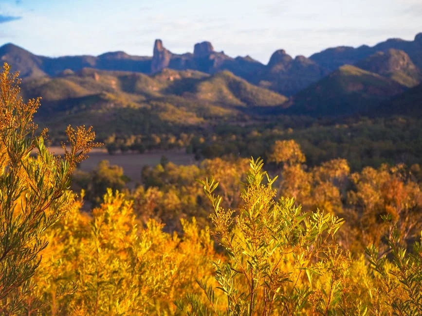 Alice Springs Tragedy Triggers Tourism Revenue Fears — Education