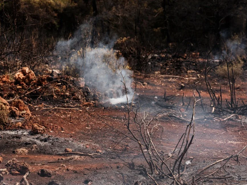 Alice Springs Unrest Triggers Business Alerts After Arrests — Economy Business