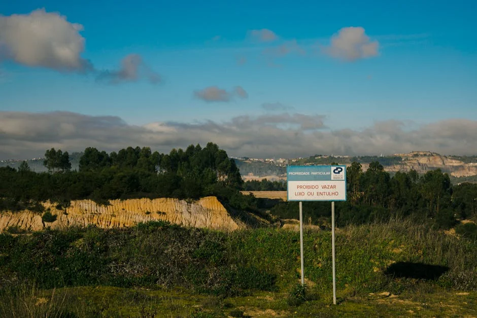 Amorim Snubs Pizzi and Horta — Portugal's Market Value Drops — Culture Arts