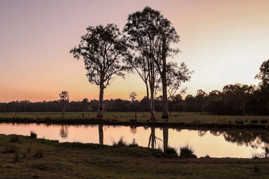 Australia Misses $160m River Project Deadline — Wetlands at Risk — Health Medicine