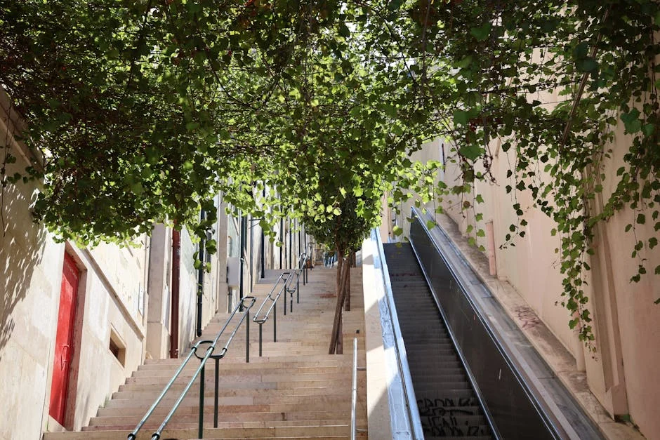 Banco de Portugal Plans New Measures to Cool Credit Market — Impact on Investors — Economy Business