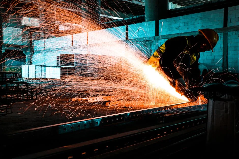 Bear Attack at Japanese Steel Works Triggers Safety Investigation — Environment Nature