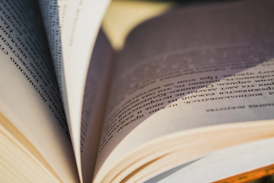 Bruxelas Demands EU MPs to Fix Online Child Safety Gaps