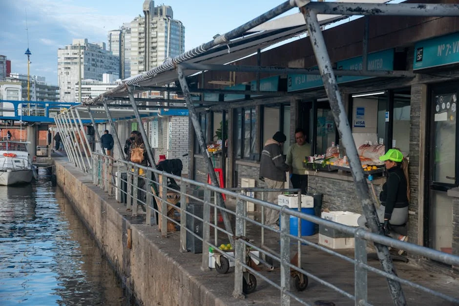 Caleta Sparks Market Surge as Real Eyes Recovery — Economy Business