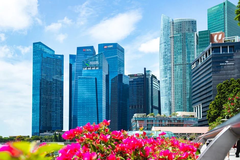 Canva Unveils 2022 Update — Singapore Businesses Adapt