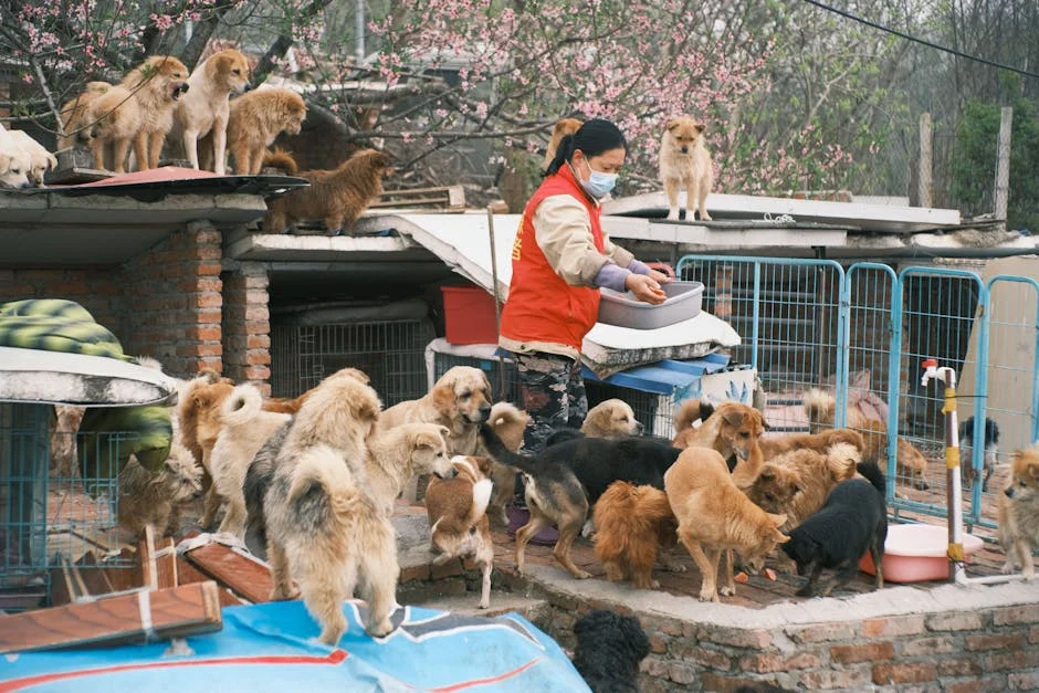 Cape Cobra Spotted in Pool Before Children's Swim - Animal Welfare Society Steps In — Economy Business