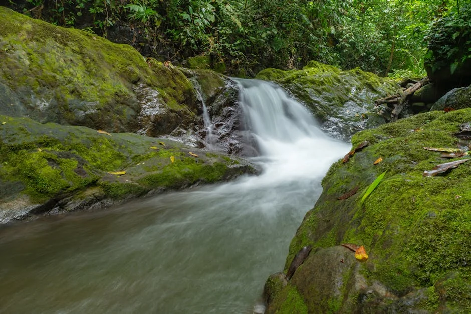 Costa Rica Leads Global EV Push to Crush Oil Volatility — Culture Arts