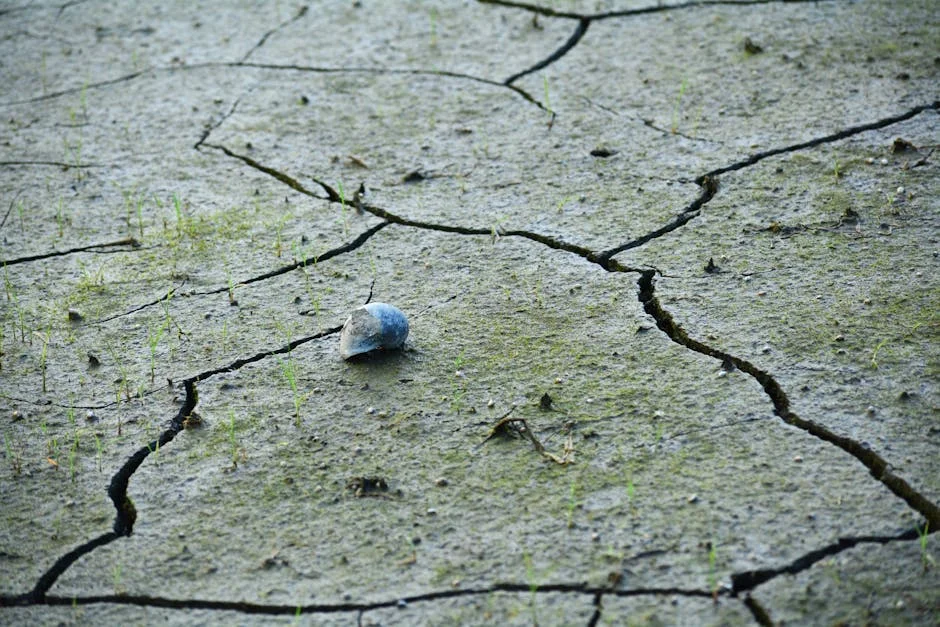 CSIRO Job Cuts Trigger Climate Data Crisis for Australian Markets — Environment Nature