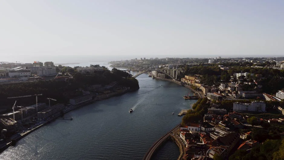 Duvivier Launches New Portuguese Campaign Amid Messi Frenzy — Economy Business