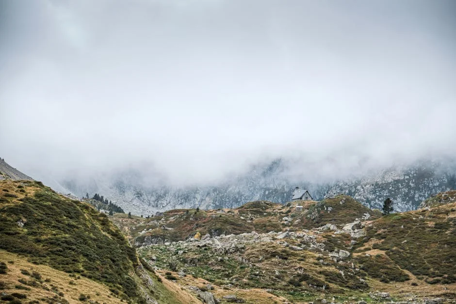 Esta Rejection Slams Seguros Stocks - What It Means For Market Stability — Economy Business