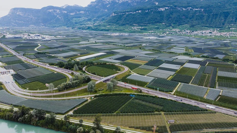 Insights into Economics and Sustainability — BlurryBay