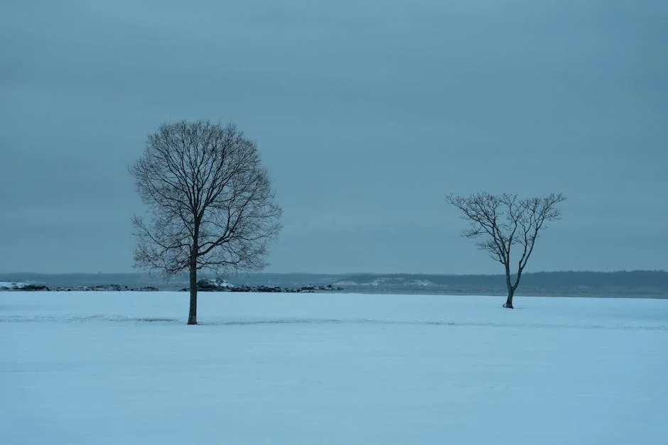 Faisal Islam warns Iran conflict threatens UK economy — Politics Governance