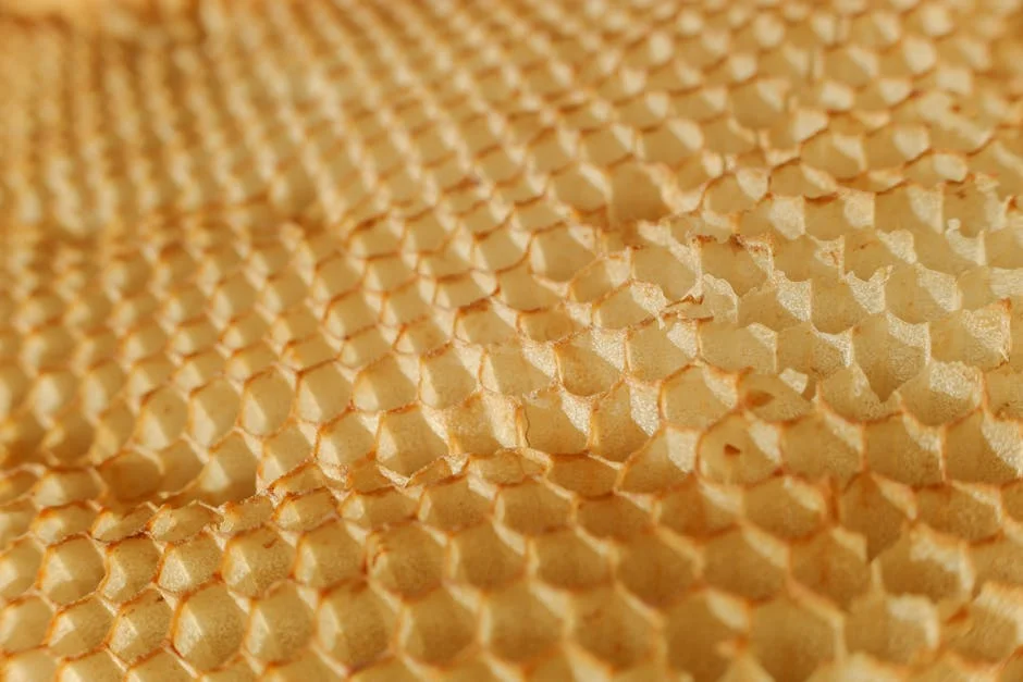 Green Technologies and Hexagon Nutrition Launch IPOs — What's Next for Investors?