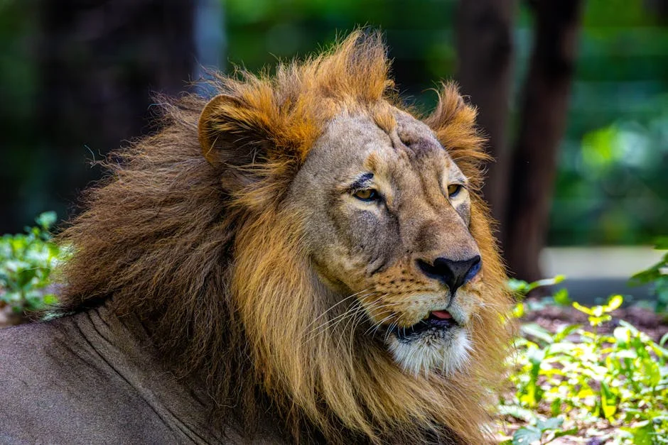 Gucci Mane Kidnapped by Pooh Shiesty in Atlanta Shocking Incident — Economy Business