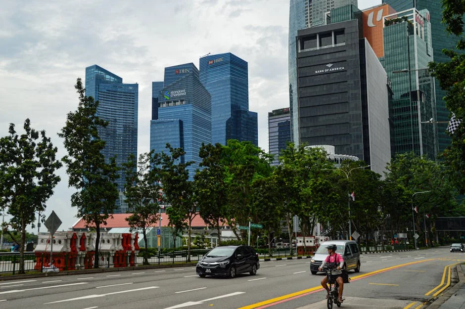 Home Affairs Corruption Slams South African Travelers - What It Means for Singapore — Economy Business