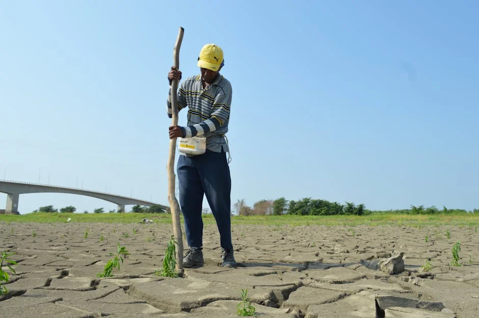 IMD Confirms El Nino Impact on India — Markets Brace for Disruption