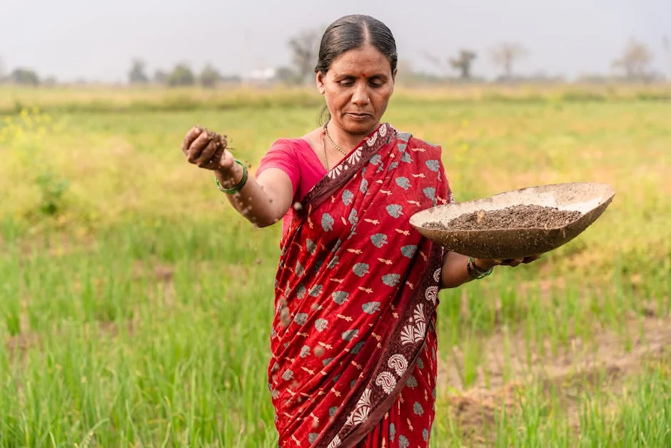 India Eyes GSFC to Stabilize Urea Prices After Gulf Shocks — Economy Business