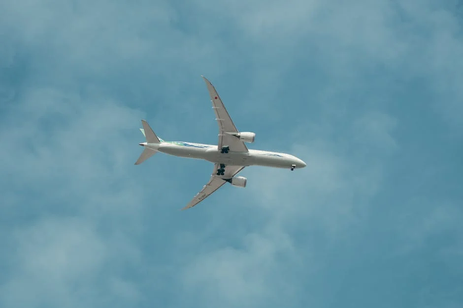 India Halts West Asia Flights — Airlines Face Record Costs — Politics Governance