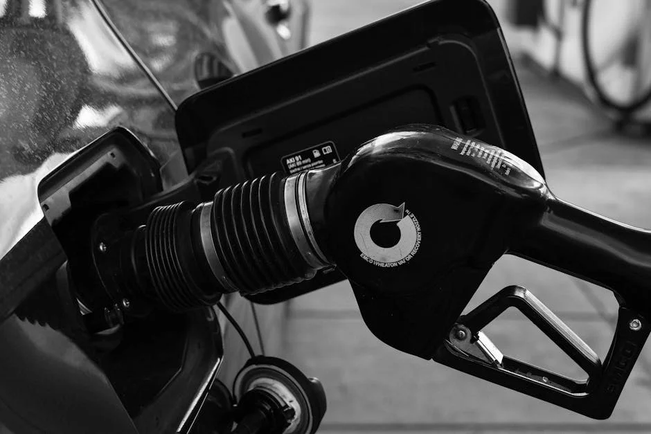 India Supreme Court Slams Fuel Prices — Virtual Hearings Trigger Market Jitters — Environment Nature