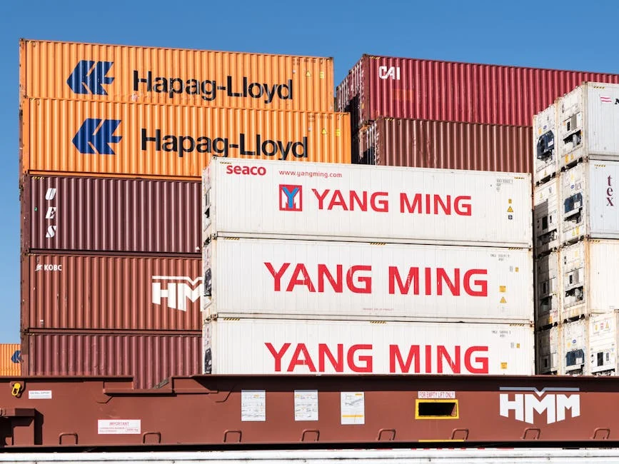 India's Import Surge Triggers CAD Alarm for Investors