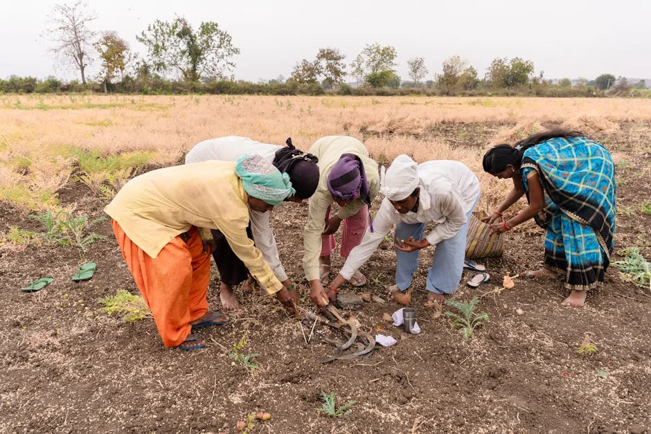 India's Onion Prices Plunge — Farmers Face Crisis — Economy Business