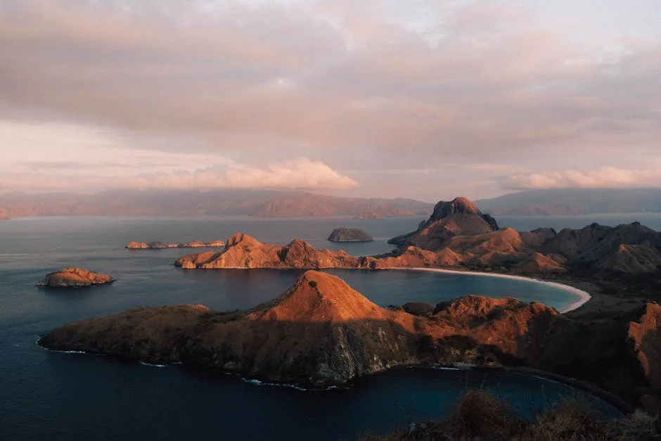 Indonesia Reveals Hidden Haven for World's Largest Sharks — What Investors Need to Know — Health Medicine
