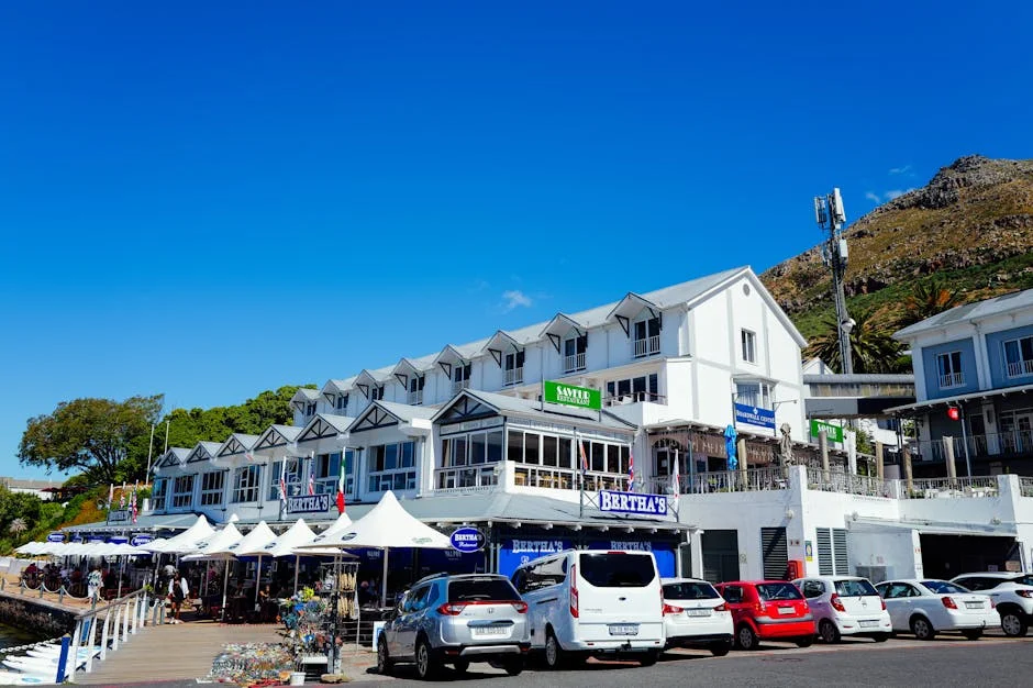 Junior Boks Launch Cape Town Rugby Festival — Tourism Revenue Spikes — Culture Arts