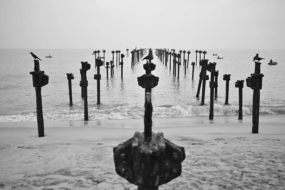 Lake Contamination Hits Kerala, Could Impact Tourism and Trade — Economy Business