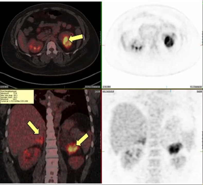 Lions Secure URC SA Shield, Shift Focus to Top 8 Ambitions — Economy Business