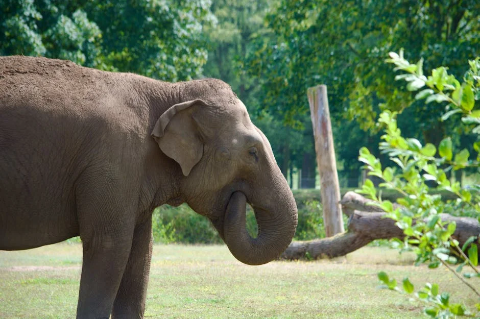 London Zoo Unveils £20m Vet Hospital — Tourism Stocks Take Note — Health Medicine
