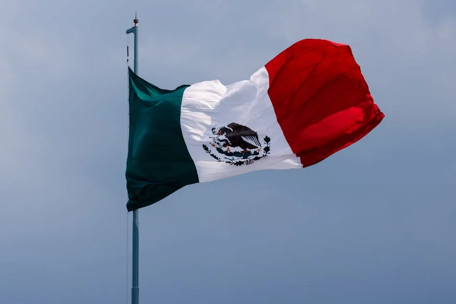 Mexico Reveals Foreigners' Role in Cartel Raid — Economic Ripples Feared — Economy Business