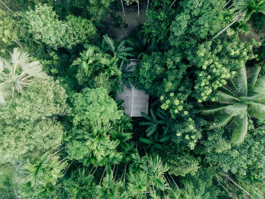 Modi Unveils Over Rs 47,000 Crore Projects in Assam, Boosting Local Economy — Politics Governance