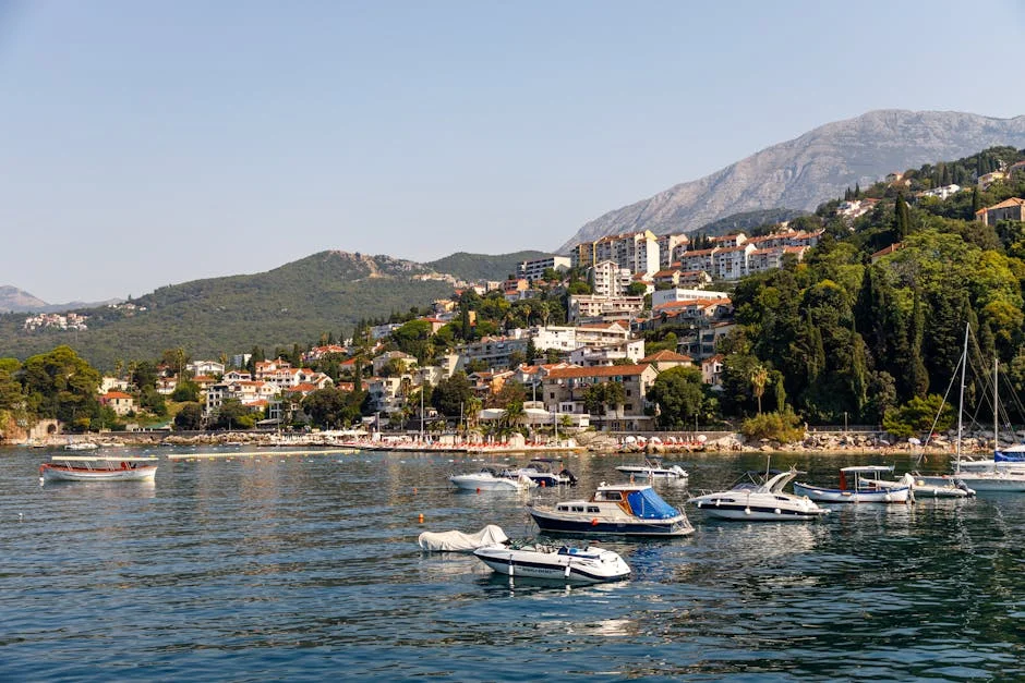 Montenegro Delays Labor Reform as Businesses Await Clarity — Economy Business