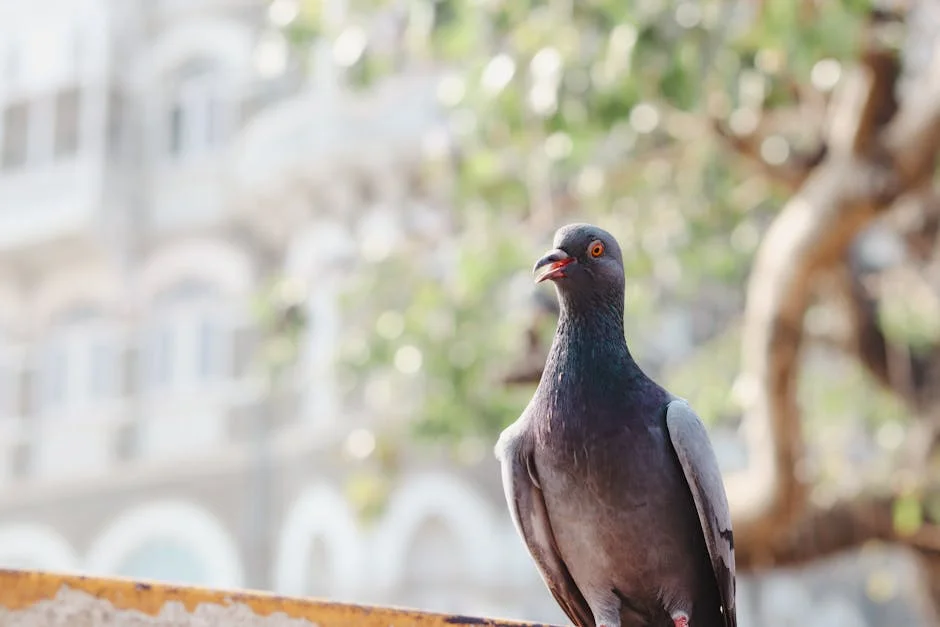 Mumbai Indians Face Off Against Sunrisers Hyderabad — Who Will Triumph? — Economy Business