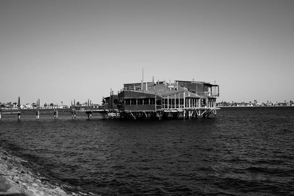 Namibia's Green Energy Dream Slams Penguins - What It Means For Investors And Markets — Environment Nature