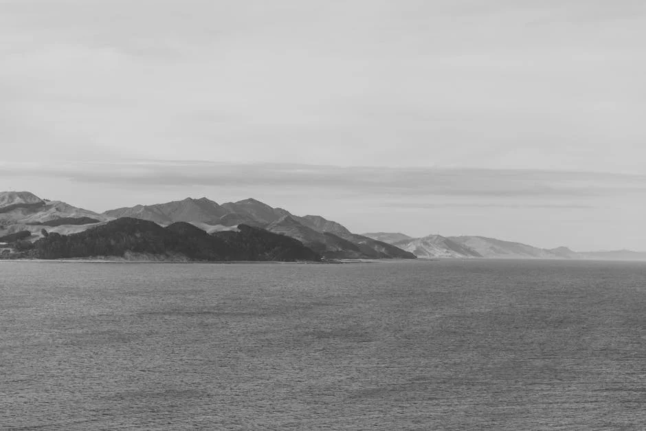 New Zealand Declares State of Emergency in Wellington Amid Flooding — Economy Business