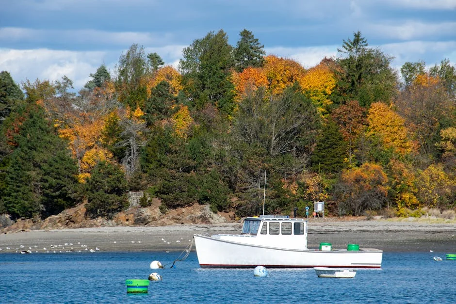 NHS England Pauses Cross-Sex Hormones for Under-18s - What It Means for Healthcare Stocks