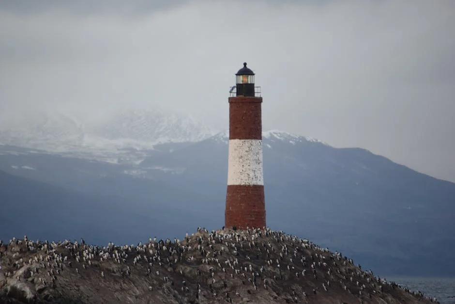 Nunes Pushes for Debate on State Limits in Defence Tech Sector — Economy Business