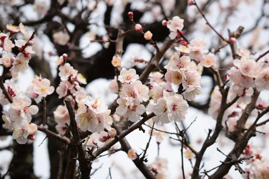 Nuno Baltazar Unveils Fashion Line, Sparks Interest Among Investors in SG — Economy Business