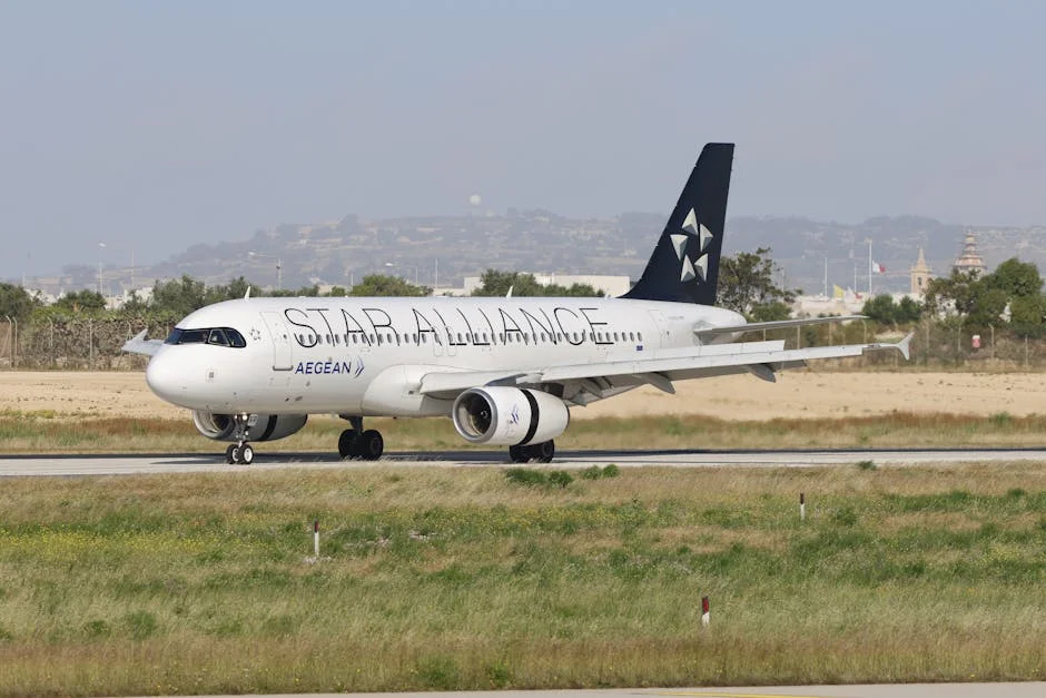 Passenger Dies in Airport Boulevard Crash, 3 Injured — Economy Business