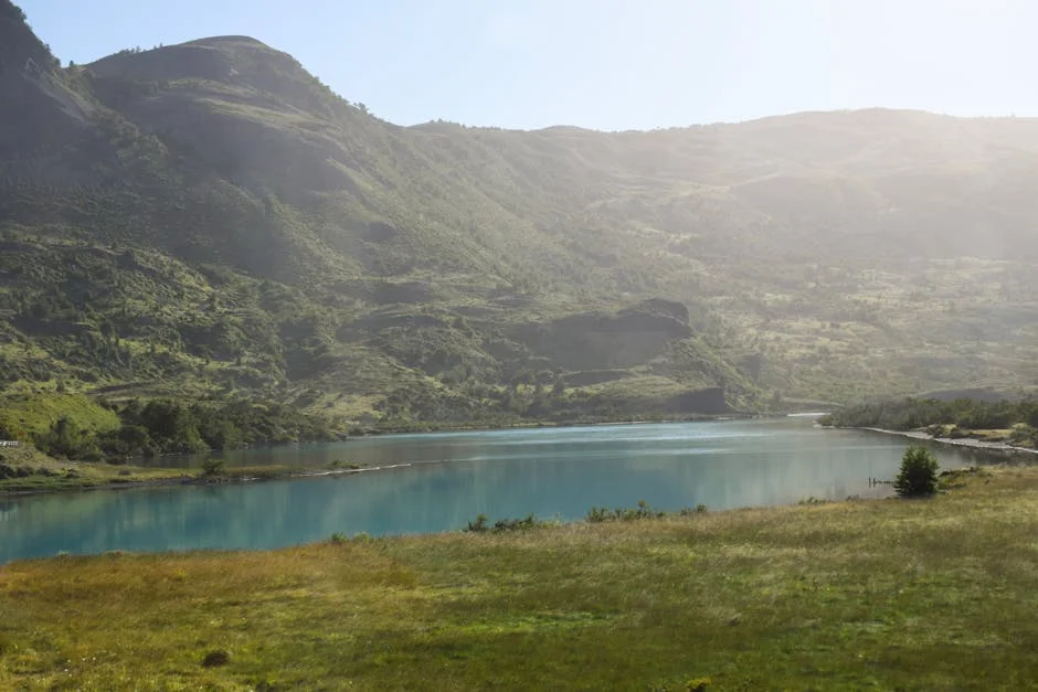 Pedro Pascal Sues Chilean Spirit Brand Over Name Conflict — Economy Business