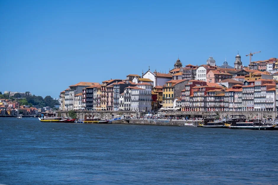 Porto Vivo Halts Development as Manuel Pureza Demands Action — Economy Business