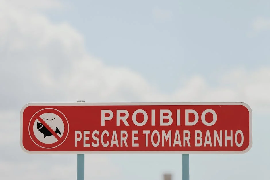 Portugal Faces Hailstorm Warning — What This Means for Agriculture and Investors — World Affairs