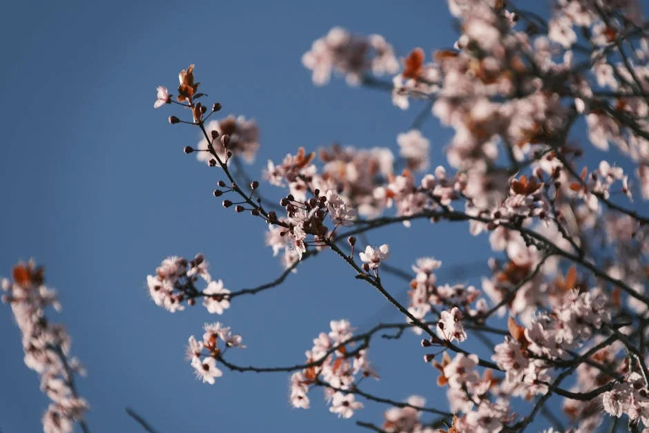 Portuguese University Restores Macau Parish Archive - Boost for Cultural Tourism and Business Ties — Economy Business