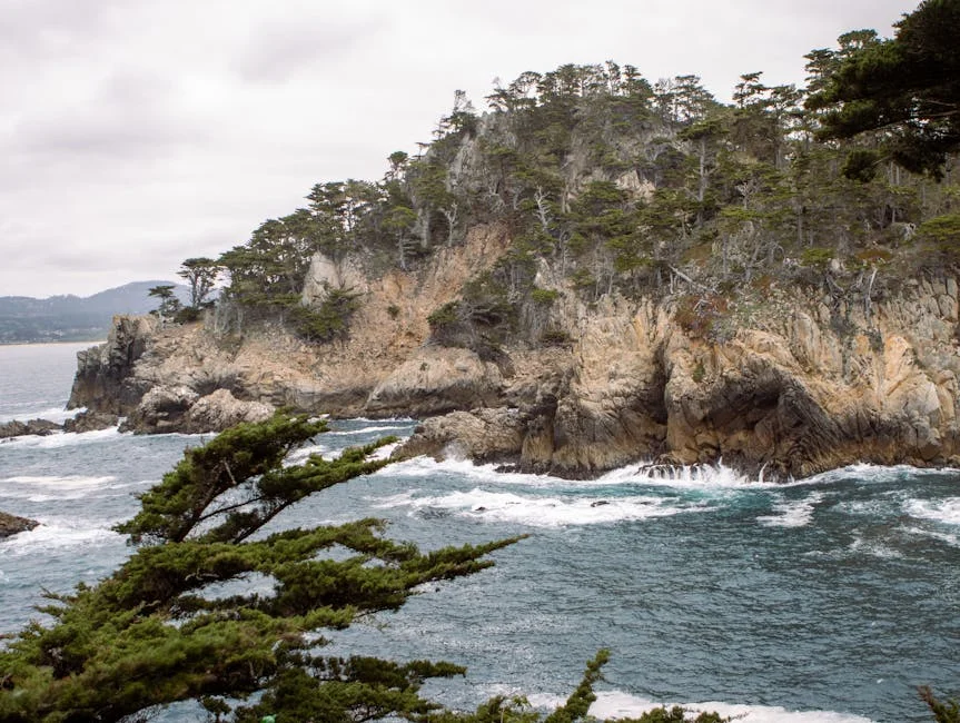 Portuguese Writer Lobo Antunes Farewell Draws Crowds - What It Means For Sousa and Grande