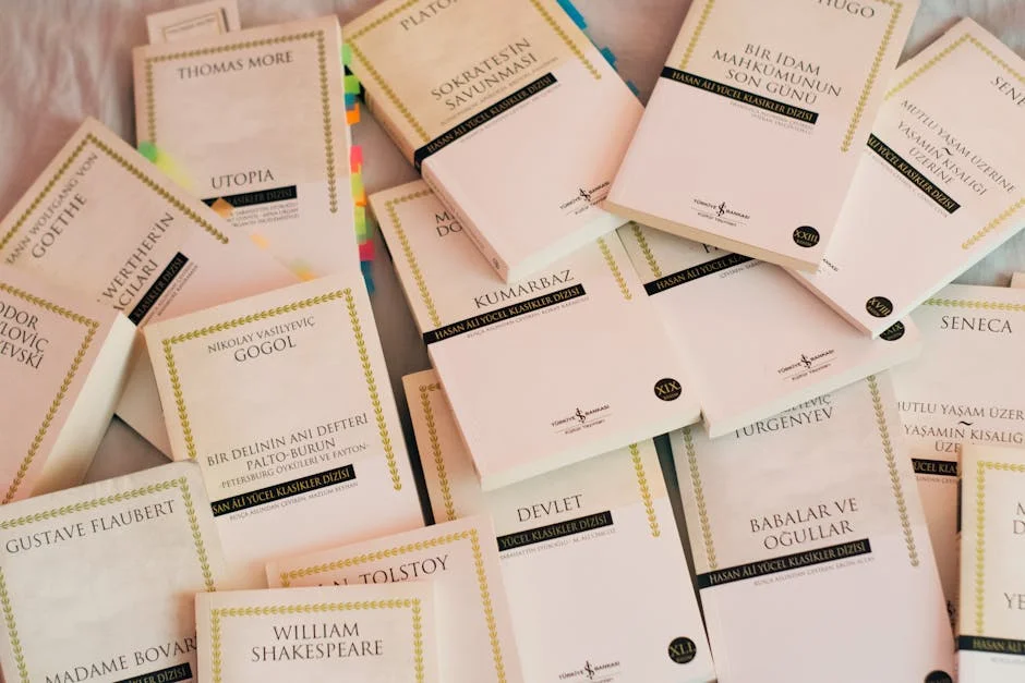 Rassie Erasmus Names New Star as South Africa Eyes 2026 Rugby World Cup — Economy Business