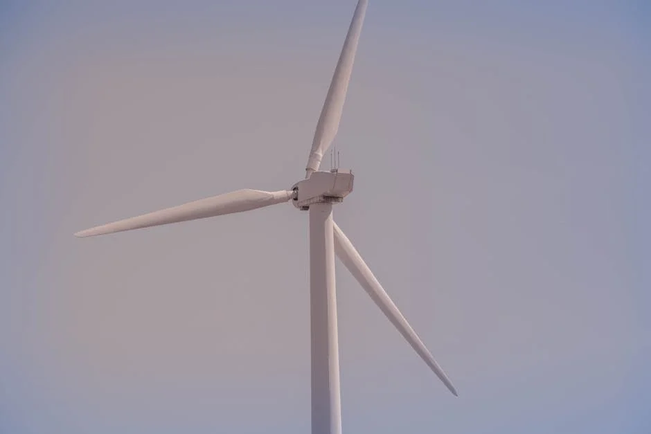 Reserve Bank Holds Rates as Oil Shock and Inflation Pressure Its Decisions - Explained — Economy Business