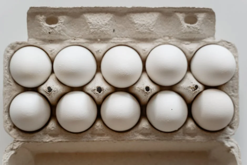 Singapore Food Output Shifts: Eggs Dip as Veggies Rise — Environment Nature